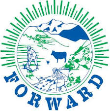 Forward Health